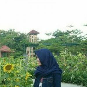 Lilis Setya profile icon