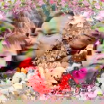 รักก็ไม่รัก ทิ้งก็ไม่ทิ้ง profile icon