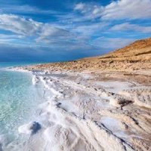 شهافلا دذسكيا اءوف بللا profile icon