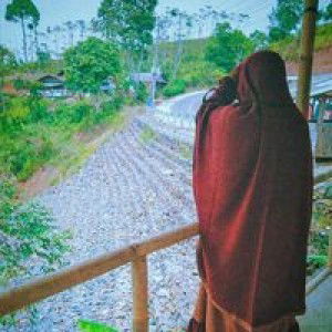 Tyas Pratiwi Zaros profile icon