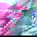 Bambang Suu Jr. profile icon