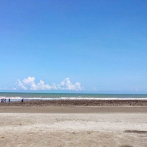 farah safiah ahmad nizam profile icon