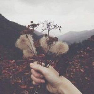 Thiên Yết profile icon