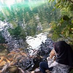 Puji Sri Yani profile icon