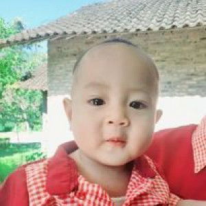 Risti Ani profile icon