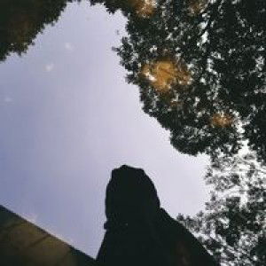 Syifaa Fauziyah profile icon