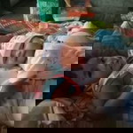 เดนมาร์ค วาวล์ profile icon