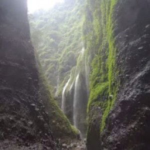 irma yuniar profile icon