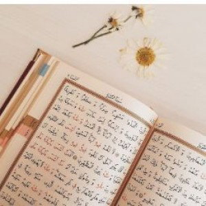 Dwi Tamara profile icon