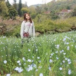 Nick Nick profile icon