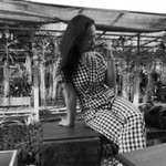 Joly Joly profile icon