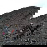 Lyna Alyfah profile icon