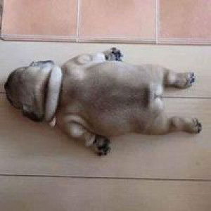 Kiều Em profile icon