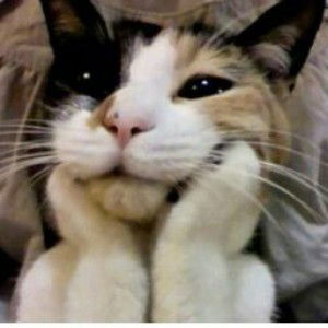 khairiah akkas profile icon