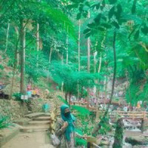 Sutarti profile icon