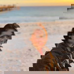 Iz Hunny Idrus profile icon