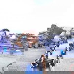 Ran Gingsul profile icon