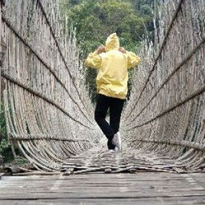 Novi WR profile icon