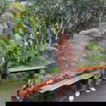 BeeBee Wimonwan profile icon