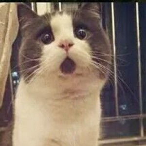 Ika Shafiqah profile icon