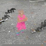 Fara Halim profile icon