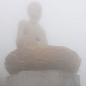 Quy Nguyen profile icon