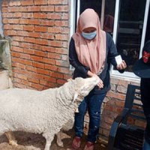 Najwana Idris profile icon