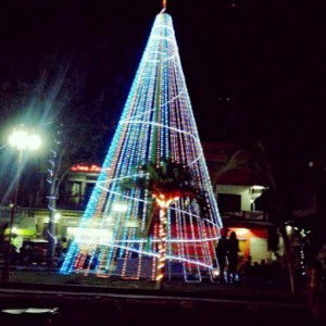 Yance Tarapanjang profile icon