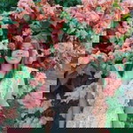 หนู ขนุน น้อย profile icon