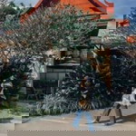 Nur Iman profile icon