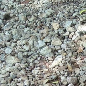 Lucia Gerald profile icon