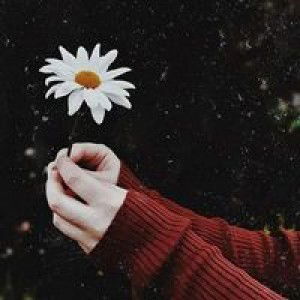 Risky Irma profile icon