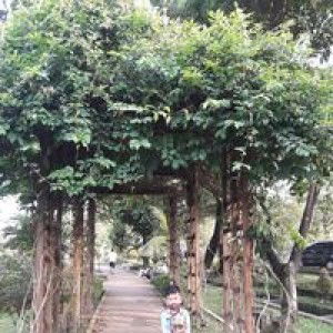 Rhannie Jelia profile icon