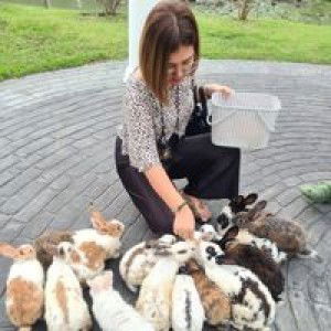 Pinprapa Wantong profile icon