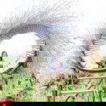 Aikemie May Cababan Dumandan profile icon