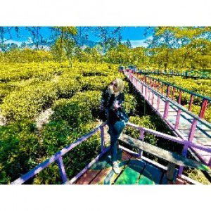 R. Ivon profile icon