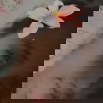 Alexandra Nicole profile icon