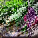 ไอนา ไอนา profile icon