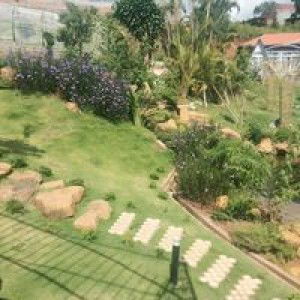 Van Thanh profile icon