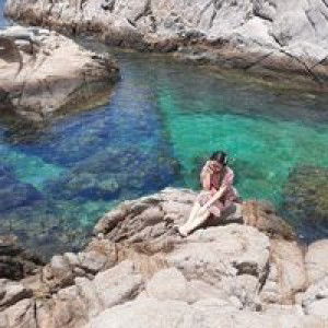 Viên Đỗ profile icon