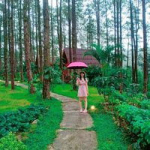 Nudsara Sing Mang profile icon