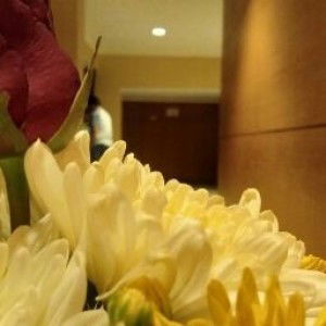 tixtax sibhoncele profile icon