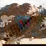 Nur Hayati profile icon