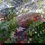 Thdeba Balolot Anlogama profile icon