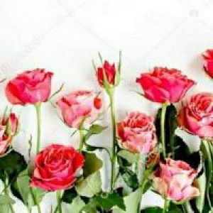 Titis Wijayanti profile icon