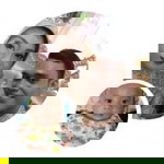 Hasna Rofifah profile icon