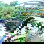 Reni Juliani profile icon