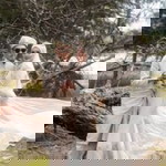 Farhana Zakariya profile icon