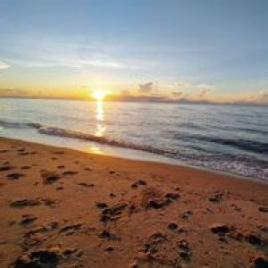 Moona Pt profile icon