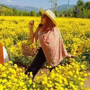 พิมผกา จิตทะเน profile icon